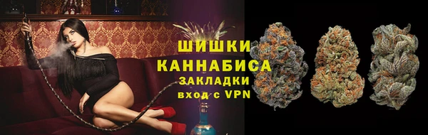apvp Богданович