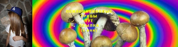 apvp Богданович
