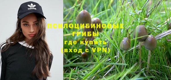 таблы Богородицк