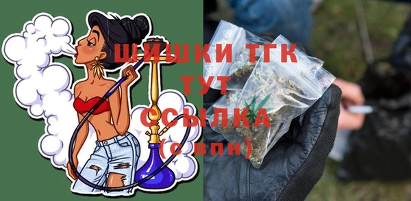 apvp Богданович