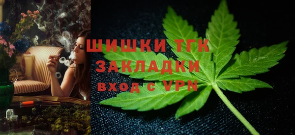 таблы Богородицк